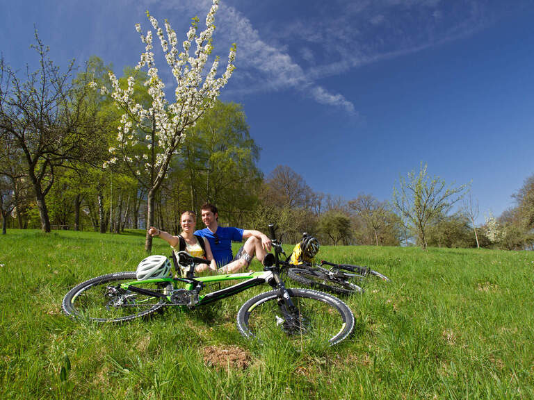 Ein Paar pausiert seine Radtour und sitzt in einer grünen Wiese unter einem Apfelbaum
